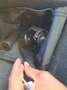 Audi Q3 35 TDI Advanced S tronic 110kW Blanco - thumbnail 5