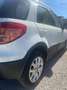 Fiat Sedici Sedici 2.0 mjt Experience 4x4 135cv Wit - thumbnail 5