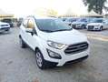 Ford EcoSport EcoSport 1.0 ecoboost Plus 100cv my19 Bianco - thumbnail 2