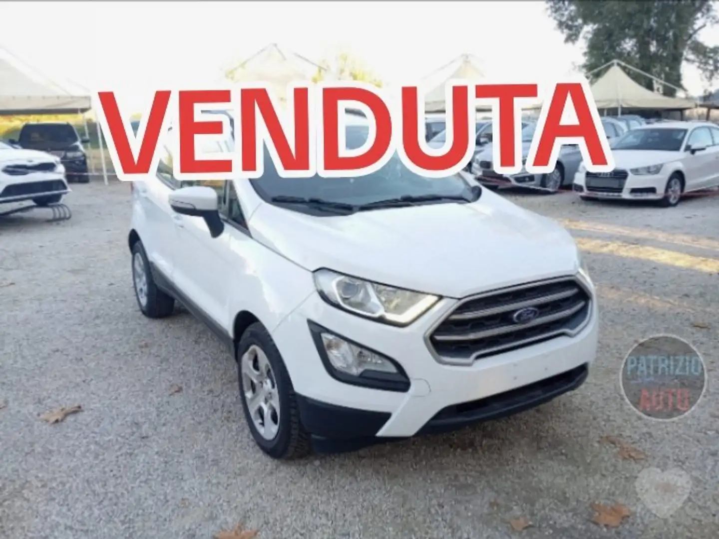 Ford EcoSport EcoSport 1.0 ecoboost Plus 100cv my19 Bianco - 1