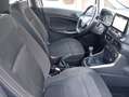 Ford EcoSport EcoSport 1.0 ecoboost Plus 100cv my19 Bianco - thumbnail 12