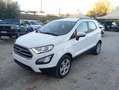 Ford EcoSport EcoSport 1.0 ecoboost Plus 100cv my19 Bianco - thumbnail 11