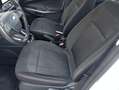 Ford EcoSport EcoSport 1.0 ecoboost Plus 100cv my19 Bianco - thumbnail 5