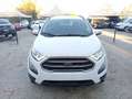 Ford EcoSport EcoSport 1.0 ecoboost Plus 100cv my19 Bianco - thumbnail 13