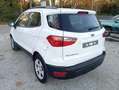 Ford EcoSport EcoSport 1.0 ecoboost Plus 100cv my19 Bianco - thumbnail 8