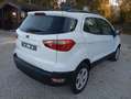 Ford EcoSport EcoSport 1.0 ecoboost Plus 100cv my19 Bianco - thumbnail 10
