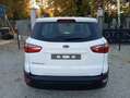 Ford EcoSport EcoSport 1.0 ecoboost Plus 100cv my19 Bianco - thumbnail 9