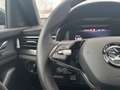 Skoda Kamiq 1,5 TSI ACT Monte Carlo DSG Rot - thumbnail 19