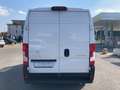 Citroen Jumper 140 HDI - VERSIONE L2H2 - 15 Q.LI P ORTATA Blanc - thumbnail 4