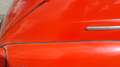 Oldtimer Volvo PV 544 Rot - thumbnail 12