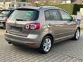 Volkswagen Golf Plus VI Match**AUTOMATIK** Braun - thumbnail 21