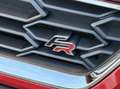 SEAT Ibiza 1.0 TSI FR Business Intense | CAMERA | BEATS AUDIO Rood - thumbnail 6