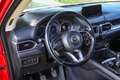 Mazda CX-5 CX-5 CD175 AWD Revolution Top Revolution Top Rot - thumbnail 10