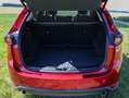 Mazda CX-5 CX-5 CD175 AWD Revolution Top Revolution Top Rot - thumbnail 20