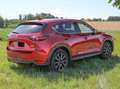 Mazda CX-5 CX-5 CD175 AWD Revolution Top Revolution Top Rot - thumbnail 7