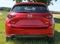 Mazda CX-5 CX-5 CD175 AWD Revolution Top Revolution Top Rot - thumbnail 6