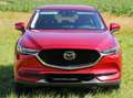 Mazda CX-5 CX-5 CD175 AWD Revolution Top Revolution Top Rot - thumbnail 5