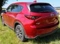 Mazda CX-5 CX-5 CD175 AWD Revolution Top Revolution Top Rot - thumbnail 8