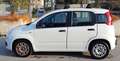 Fiat Panda 1.0 hybrid Easy s&s 70cv - thumbnail 2