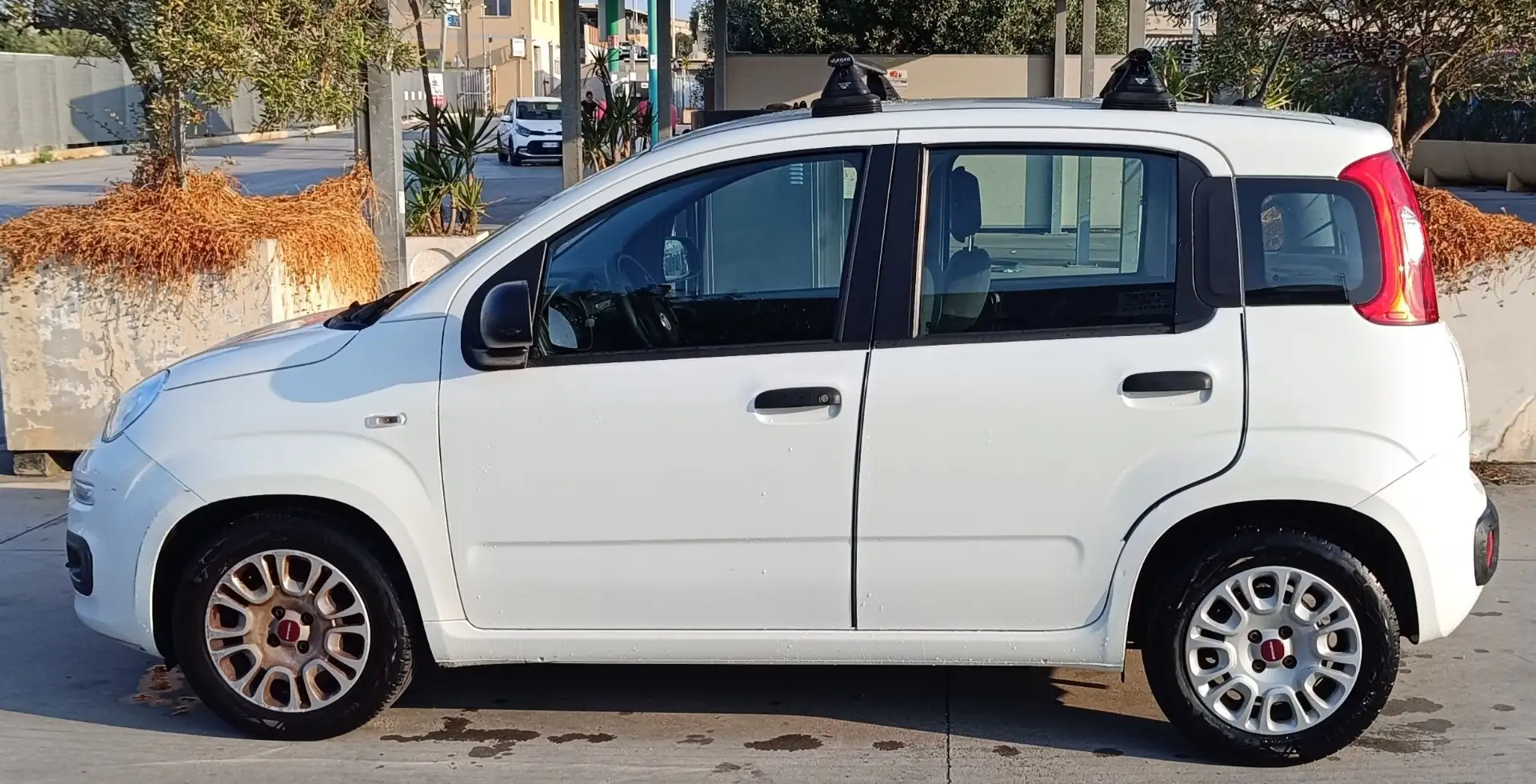 Fiat Panda 1.0 hybrid Easy s&s 70cv - 2