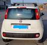 Fiat Panda 1.0 hybrid Easy s&s 70cv - thumbnail 5