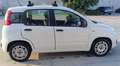 Fiat Panda 1.0 hybrid Easy s&s 70cv - thumbnail 7