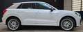 Audi SQ2 SQ2 2.0 tfsi Sport Attitude quattro s-tronic Bianco - thumbnail 4