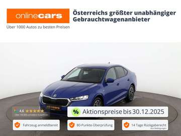 2.0 TDI Clever Aut LED AHK R-CAM SITZHZG