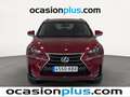 Lexus NX 300 300h Corporate 2WD Rosso - thumbnail 15