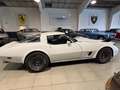 Chevrolet Corvette C3 Weiß - thumbnail 6