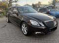 Mercedes-Benz E 300 E 300 CDI BlueEfficiency (212.020) Braun - thumbnail 2