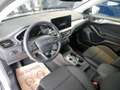 Ford Focus Turnier 1,5 EcoBlue Titanium Edition Aut. Silber - thumbnail 8