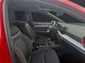 SEAT Ibiza FR 1.0 TSI Pro Black Edition AHK NAVI PANO Rouge - thumbnail 12