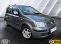 Fiat Panda 1.2 Edizione Cool Airco Trekhaak Lmv Сірий - thumbnail 3