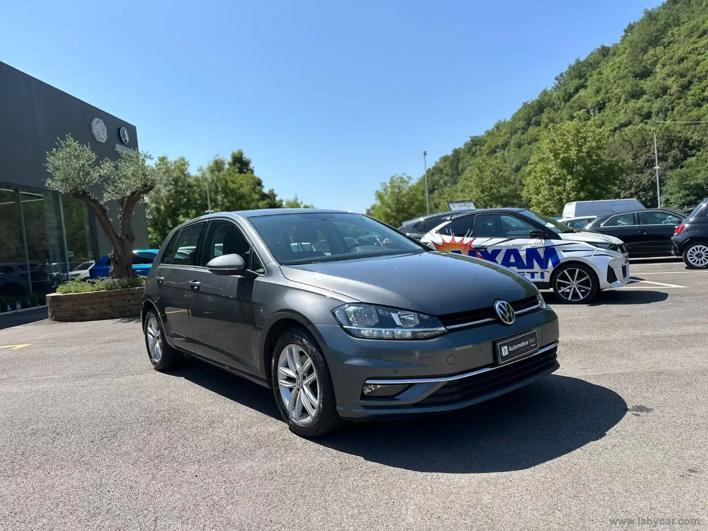 Volkswagen Golf 1.6 TDI 115CV 5p. Trendline BMT Grigio - 2