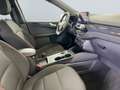 Ford Kuga 2.0 EcoBlue ST-LINE *CAM*Navi*el Heck*PDC* Grau - thumbnail 20