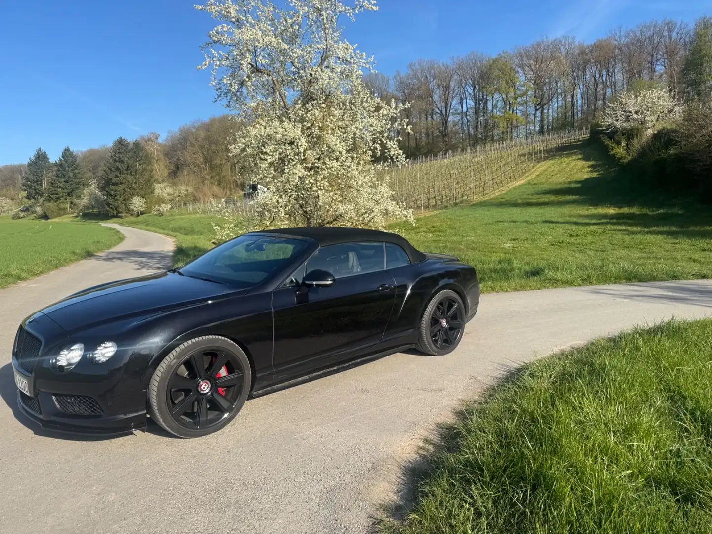 Bentley Continental GTC V8 S 4WD Conv. Negro - 1