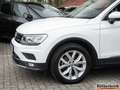 Volkswagen Tiguan Highline TDI LED ACC Navi Sitzhzg. 18" Ganzjahr... Weiß - thumbnail 3
