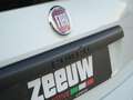 Fiat Panda 1.0 Hybrid Pandina | Airco | Carplay | Cruise | PD Wit - thumbnail 4
