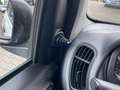 Fiat Panda 1.0 Mild Hybrid  Base Klima DAB Weiß - thumbnail 17
