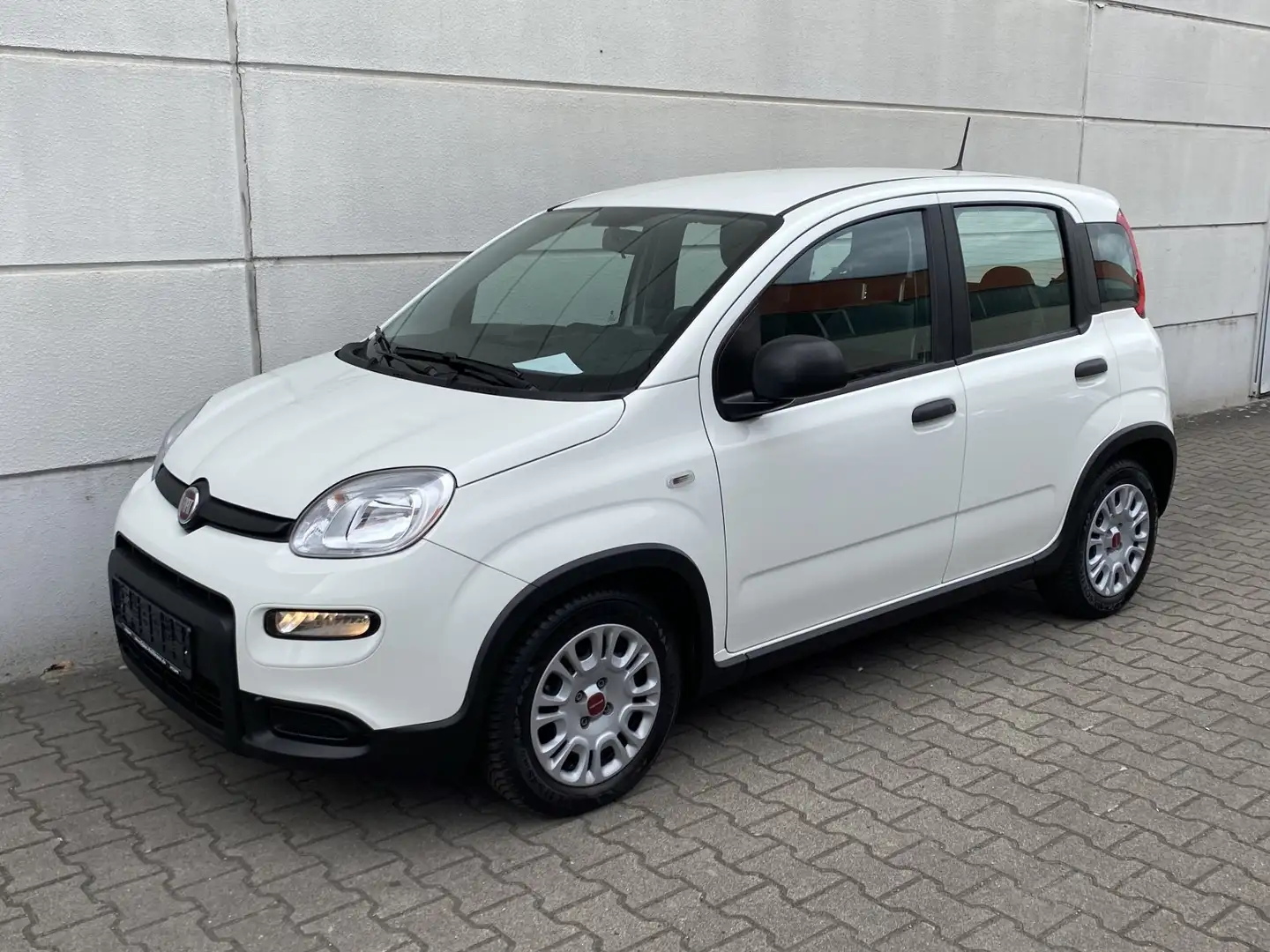 Fiat Panda 1.0 Mild Hybrid  Base Klima DAB Weiß - 2