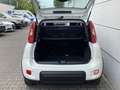 Fiat Panda 1.0 Mild Hybrid  Base Klima DAB Weiß - thumbnail 9