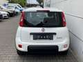Fiat Panda 1.0 Mild Hybrid  Base Klima DAB Weiß - thumbnail 8