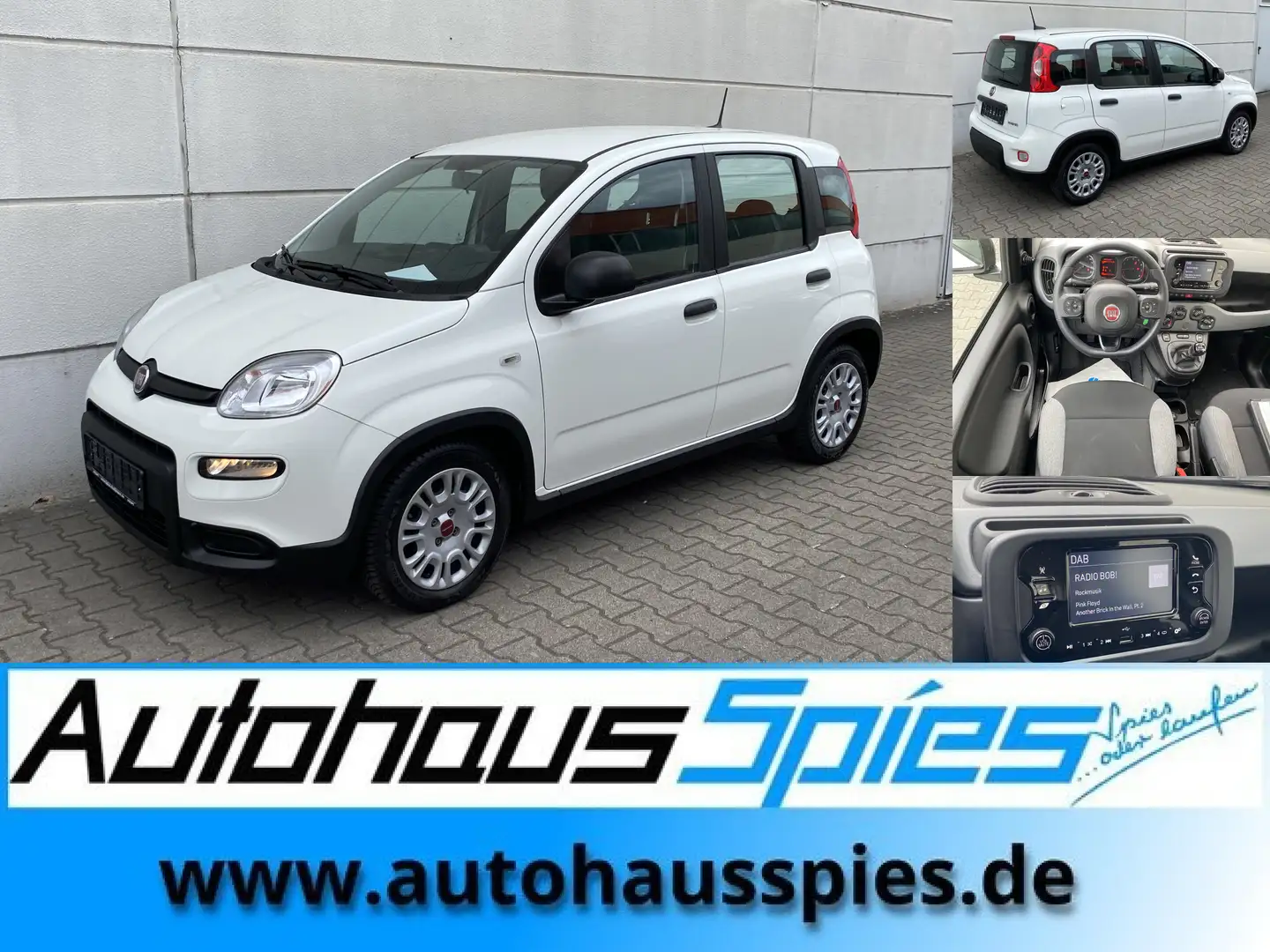Fiat Panda 1.0 Mild Hybrid  Base Klima DAB Weiß - 1