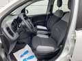 Fiat Panda 1.0 Mild Hybrid  Base Klima DAB Weiß - thumbnail 16