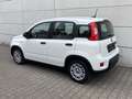 Fiat Panda 1.0 Mild Hybrid  Base Klima DAB Weiß - thumbnail 10
