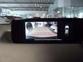 Mazda MX-30 35,5 kWh e-SKYACTIV EV 145 PS Advantage -IV Weiß - thumbnail 13