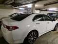 Honda Accord Accord 2,0 Comfort Comfort Weiß - thumbnail 2