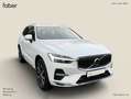 Volvo XC60 T8 Recharge AWD Plus Bright Blanco - thumbnail 6