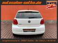 Volkswagen Polo V Match KLIMA+PDC SHZ GRA NSW FON TÜV07.26 Weiß - thumbnail 5
